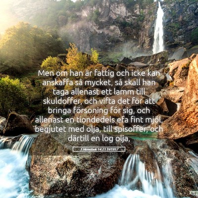 Picture 05 - 3 Mosebok 14:21 SV1917 - Men om han är fattig och icke kan anskaffa så - Bible Verse Picture