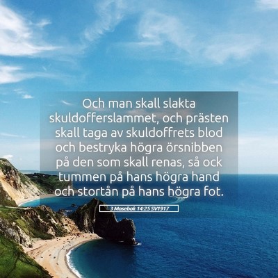 Picture 05 - 3 Mosebok 14:25 SV1917 - Och man skall slakta skuldofferslammet, och - Bible Verse Picture
