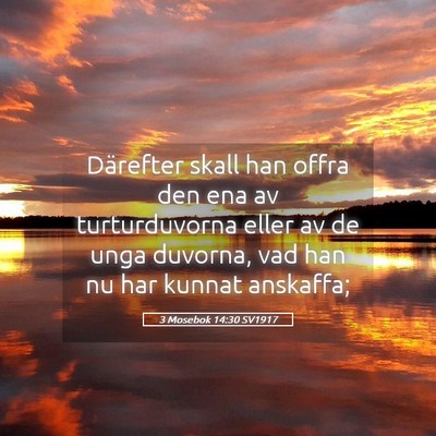 Picture 05 - 3 Mosebok 14:30 SV1917 - Därefter skall han offra den ena av - Bible Verse Picture