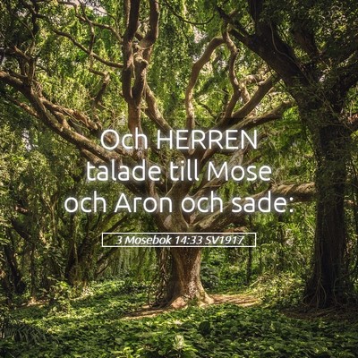 Picture 05 - 3 Mosebok 14:33 SV1917 - Och HERREN talade till Mose och Aron och - Bible Verse Picture