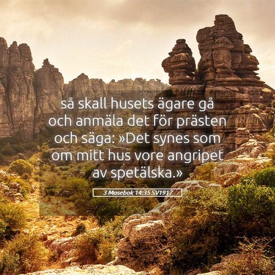 Picture 05 - 3 Mosebok 14:35 SV1917 - så skall husets ägare gå och anmäla det för - Bible Verse Picture