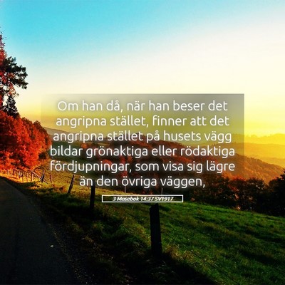 Picture 05 - 3 Mosebok 14:37 SV1917 - Om han då, när han beser det angripna stället, - Bible Verse Picture
