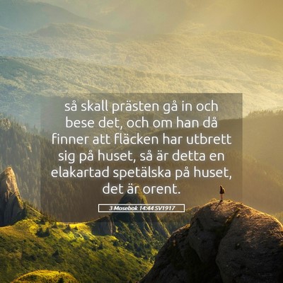 Picture 05 - 3 Mosebok 14:44 SV1917 - så skall prästen gå in och bese det, och om - Bible Verse Picture