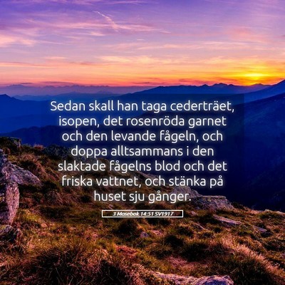 Picture 05 - 3 Mosebok 14:51 SV1917 - Sedan skall han taga cederträet, isopen, det - Bible Verse Picture