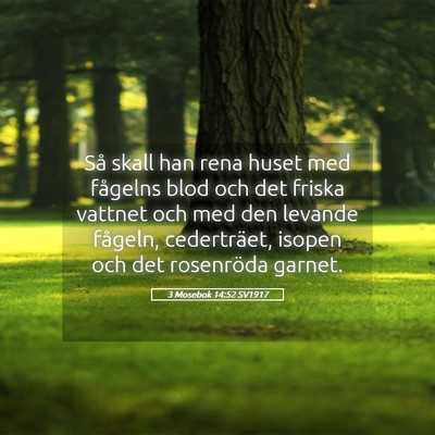 Picture 05 - 3 Mosebok 14:52 SV1917 - Så skall han rena huset med fågelns blod och - Bible Verse Picture