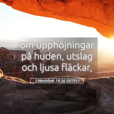 Picture 05 - 3 Mosebok 14:56 SV1917 - om upphöjningar på huden, utslag och ljusa - Bible Verse Picture