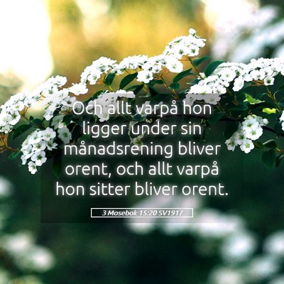 Picture 05 - 3 Mosebok 15:20 SV1917 - Och allt varpå hon ligger under sin - Bible Verse Picture