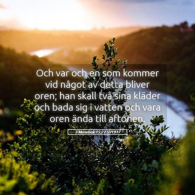 Picture 05 - 3 Mosebok 15:27 SV1917 - Och var och en som kommer vid något av detta - Bible Verse Picture