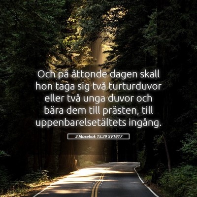 Picture 05 - 3 Mosebok 15:29 SV1917 - Och på åttonde dagen skall hon taga sig två - Bible Verse Picture