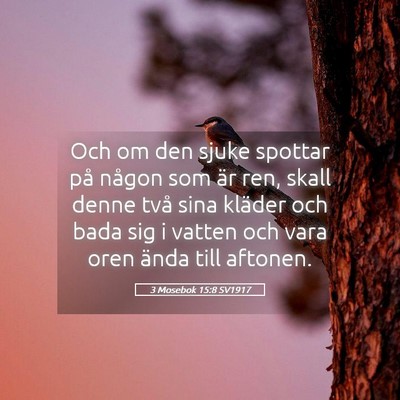 Picture 05 - 3 Mosebok 15:8 SV1917 - Och om den sjuke spottar på någon som är ren, - Bible Verse Picture