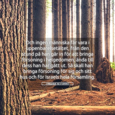 Picture 05 - 3 Mosebok 16:17 SV1917 - Och ingen människa får vara i - Bible Verse Picture
