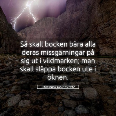 Picture 05 - 3 Mosebok 16:22 SV1917 - Så skall bocken bära alla deras missgärningar - Bible Verse Picture
