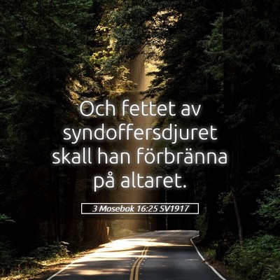 Picture 05 - 3 Mosebok 16:25 SV1917 - Och fettet av syndoffersdjuret skall han - Bible Verse Picture