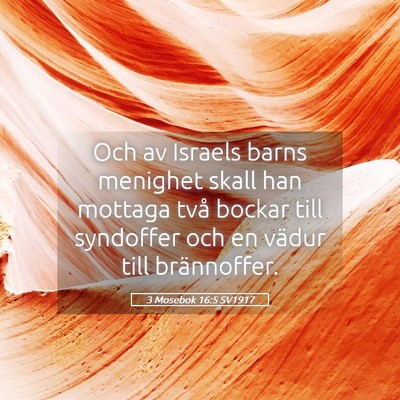 Picture 05 - 3 Mosebok 16:5 SV1917 - Och av Israels barns menighet skall han mottaga - Bible Verse Picture