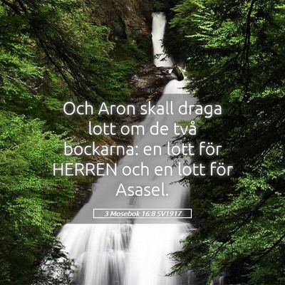 Picture 05 - 3 Mosebok 16:8 SV1917 - Och Aron skall draga lott om de två bockarna: en - Bible Verse Picture