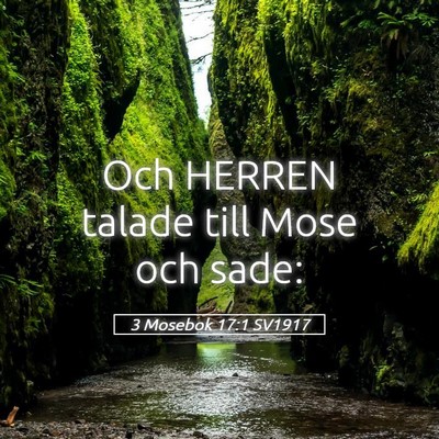 Picture 05 - 3 Mosebok 17:1 SV1917 - Och HERREN talade till Mose och - Bible Verse Picture