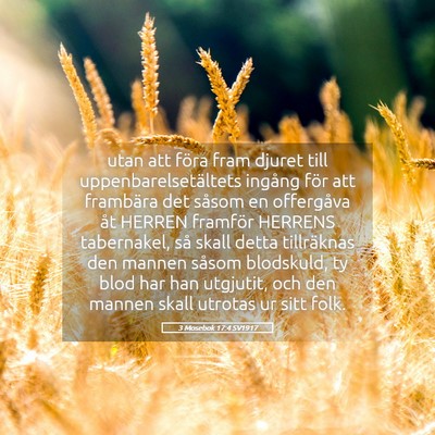 Picture 05 - 3 Mosebok 17:4 SV1917 - utan att föra fram djuret till - Bible Verse Picture