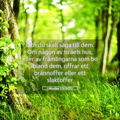 Picture 05 - 3 Mosebok 17:8 SV1917 - Och du skall säga till dem: Om någon av Israels - Bible Verse Picture