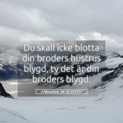 Picture 05 - 3 Mosebok 18:16 SV1917 - Du skall icke blotta din broders hustrus blygd, - Bible Verse Picture
