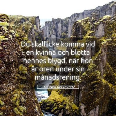 Picture 05 - 3 Mosebok 18:19 SV1917 - Du skall icke komma vid en kvinna och blotta - Bible Verse Picture