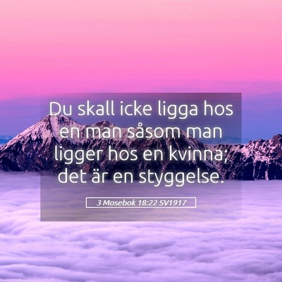 Picture 05 - 3 Mosebok 18:22 SV1917 - Du skall icke ligga hos en man såsom man ligger - Bible Verse Picture
