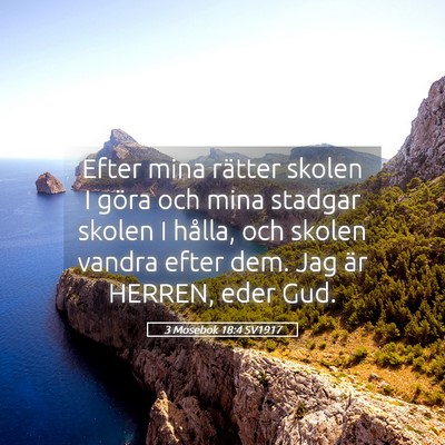 Picture 05 - 3 Mosebok 18:4 SV1917 - Efter mina rätter skolen I göra och mina - Bible Verse Picture