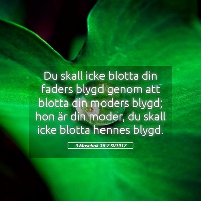 Picture 05 - 3 Mosebok 18:7 SV1917 - Du skall icke blotta din faders blygd genom att - Bible Verse Picture