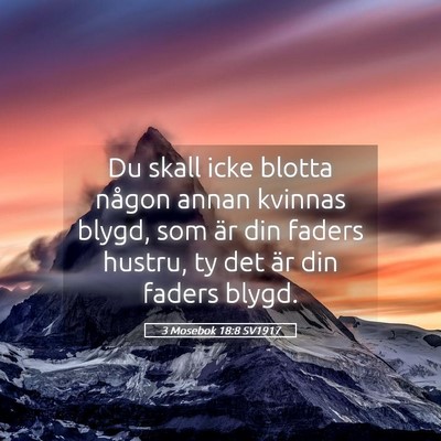 Picture 05 - 3 Mosebok 18:8 SV1917 - Du skall icke blotta någon annan kvinnas blygd, - Bible Verse Picture