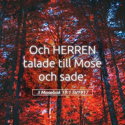 Picture 05 - 3 Mosebok 19:1 SV1917 - Och HERREN talade till Mose och - Bible Verse Picture