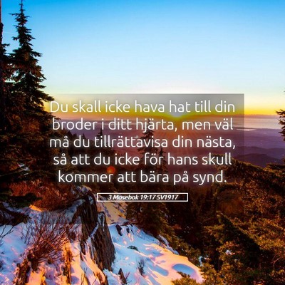 Picture 05 - 3 Mosebok 19:17 SV1917 - Du skall icke hava hat till din broder i ditt - Bible Verse Picture
