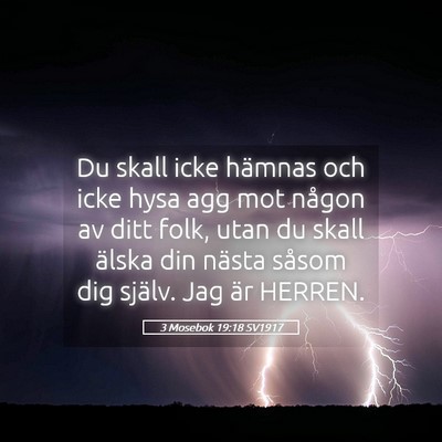 Picture 05 - 3 Mosebok 19:18 SV1917 - Du skall icke hämnas och icke hysa agg mot - Bible Verse Picture