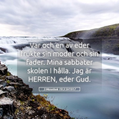 Picture 05 - 3 Mosebok 19:3 SV1917 - Var och en av eder frukte sin moder och sin - Bible Verse Picture