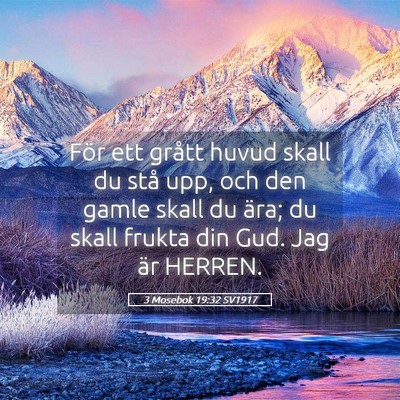 Picture 05 - 3 Mosebok 19:32 SV1917 - För ett grått huvud skall du stå upp, och den - Bible Verse Picture