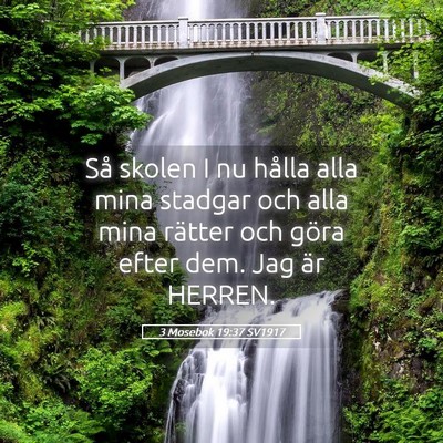Picture 05 - 3 Mosebok 19:37 SV1917 - Så skolen I nu hålla alla mina stadgar och alla - Bible Verse Picture