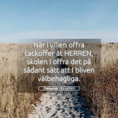 Picture 05 - 3 Mosebok 19:5 SV1917 - När I viljen offra tackoffer åt HERREN, skolen - Bible Verse Picture