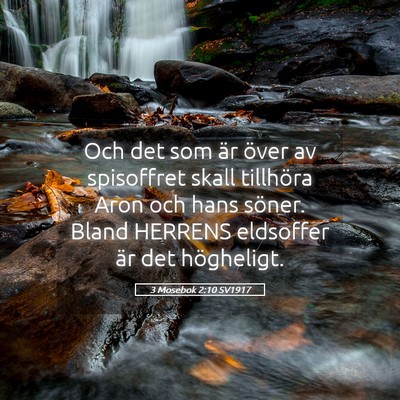 Picture 05 - 3 Mosebok 2:10 SV1917 - Och det som är över av spisoffret skall - Bible Verse Picture