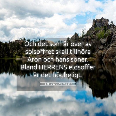 Picture 05 - 3 Mosebok 2:3 SV1917 - Och det som är över av spisoffret skall - Bible Verse Picture