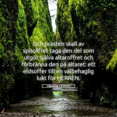 Picture 05 - 3 Mosebok 2:9 SV1917 - Och prästen skall av spisoffret taga den del som - Bible Verse Picture