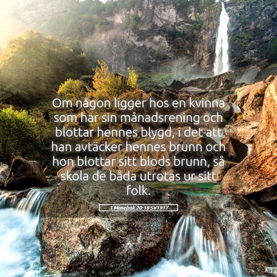 Picture 05 - 3 Mosebok 20:18 SV1917 - Om någon ligger hos en kvinna som har sin - Bible Verse Picture