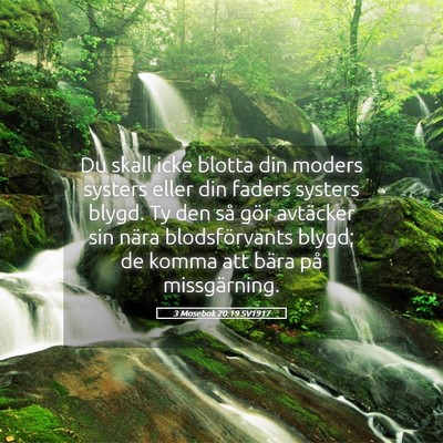 Picture 05 - 3 Mosebok 20:19 SV1917 - Du skall icke blotta din moders systers eller din - Bible Verse Picture