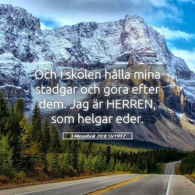 Picture 05 - 3 Mosebok 20:8 SV1917 - Och I skolen hålla mina stadgar och göra efter - Bible Verse Picture
