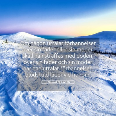 Picture 05 - 3 Mosebok 20:9 SV1917 - Om någon uttalar förbannelser över sin fader - Bible Verse Picture