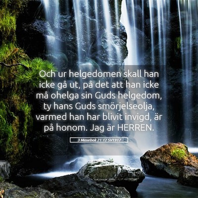 Picture 05 - 3 Mosebok 21:12 SV1917 - Och ur helgedomen skall han icke gå ut, på det - Bible Verse Picture