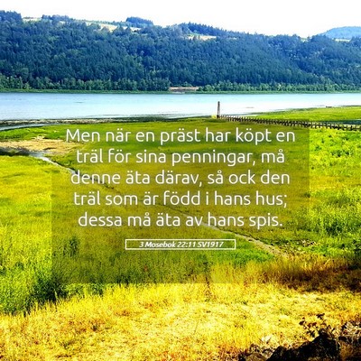 Picture 05 - 3 Mosebok 22:11 SV1917 - Men när en präst har köpt en träl för sina - Bible Verse Picture