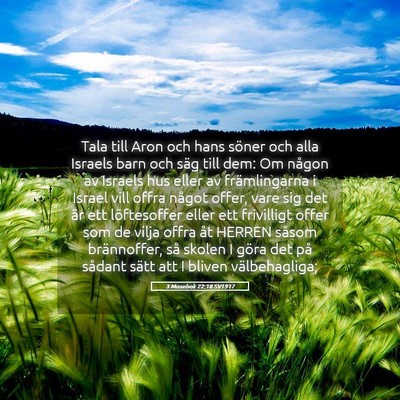 Picture 05 - 3 Mosebok 22:18 SV1917 - Tala till Aron och hans söner och alla Israels - Bible Verse Picture