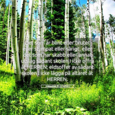 Picture 05 - 3 Mosebok 22:22 SV1917 - Det som är blint eller brutet eller stympat - Bible Verse Picture