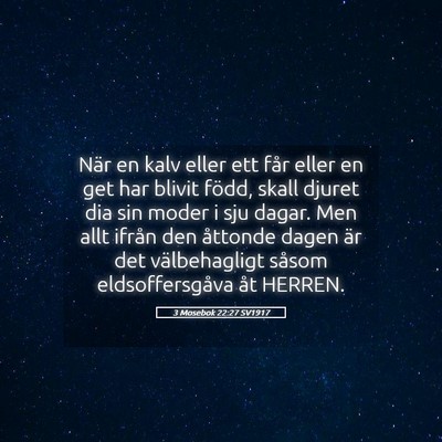 Picture 05 - 3 Mosebok 22:27 SV1917 - När en kalv eller ett får eller en get har - Bible Verse Picture