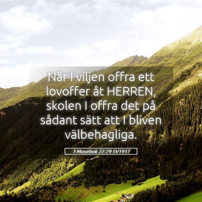 Picture 05 - 3 Mosebok 22:29 SV1917 - När I viljen offra ett lovoffer åt HERREN, - Bible Verse Picture