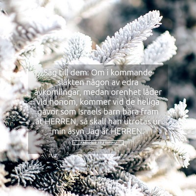 Picture 05 - 3 Mosebok 22:3 SV1917 - Säg till dem: Om i kommande släkten någon av - Bible Verse Picture
