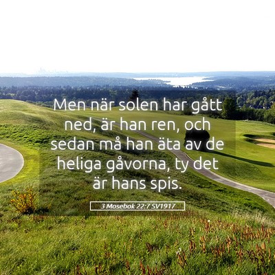 Picture 05 - 3 Mosebok 22:7 SV1917 - Men när solen har gått ned, är han ren, och - Bible Verse Picture